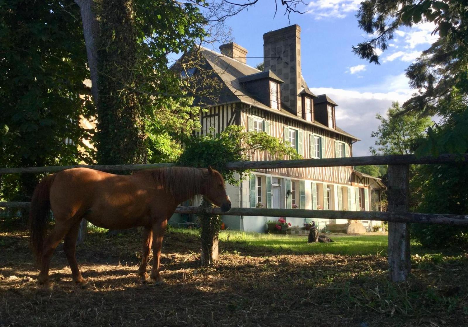 Le Domaine Lieu Bill, Normandie Blonville-sur-Mer Exterior foto